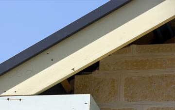 Howe Bridge fascia repairs